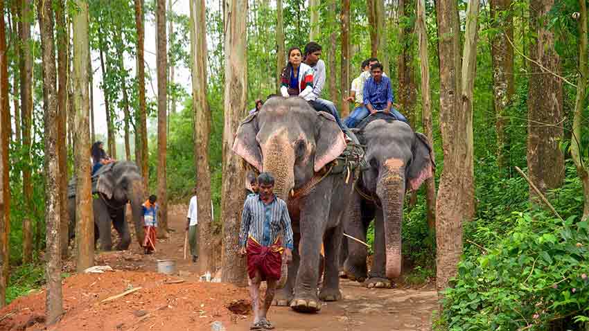 Tourists enjoying elephant ride in Munnar Kerala forest area