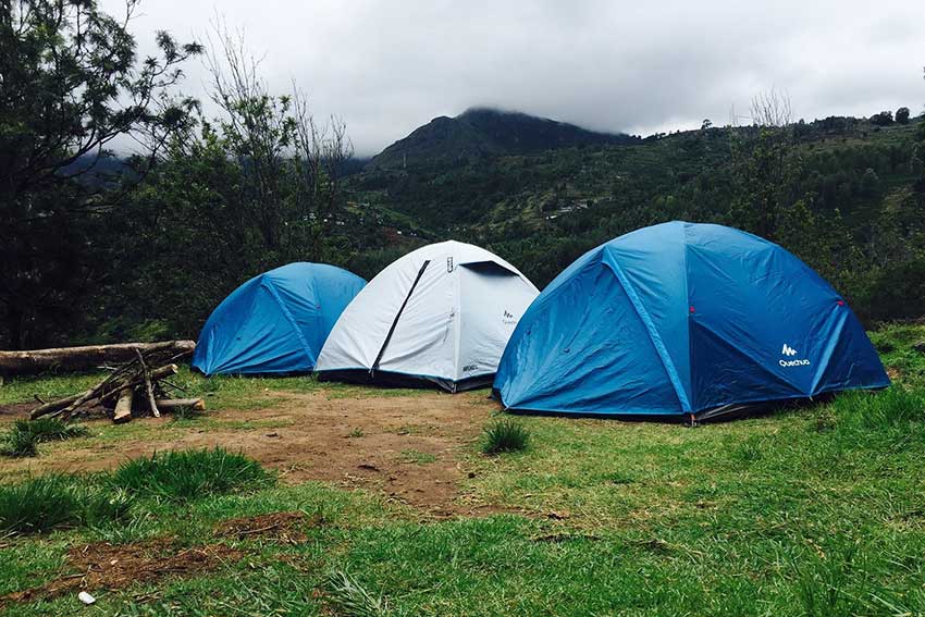 Forest camping experience with tents in Munnar Kerala