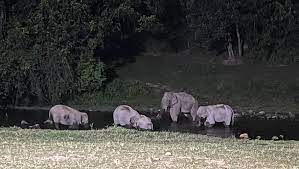 Tourists enjoying campfire near Anakkulam