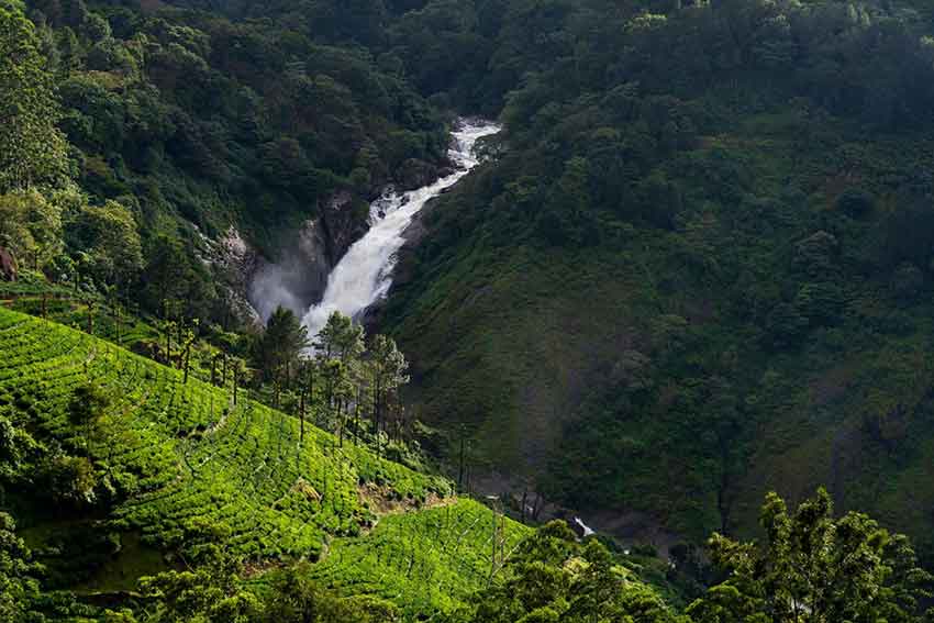 Adventure trekking near Attukad Waterfalls