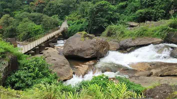 Lush greenery around Attukad Waterfalls in Munnar