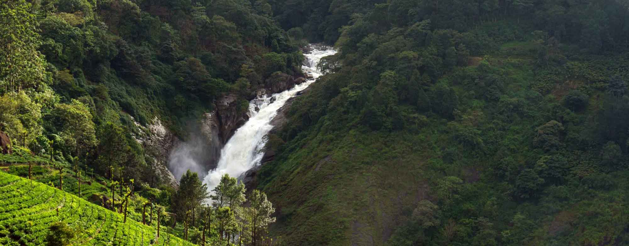 Attukad Waterfalls in Munnar Kerala