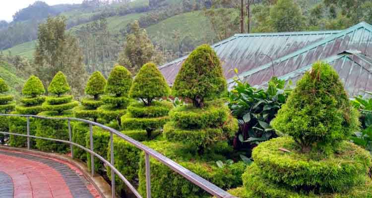 View of hills from Botanical Garden in Munnar Kerala