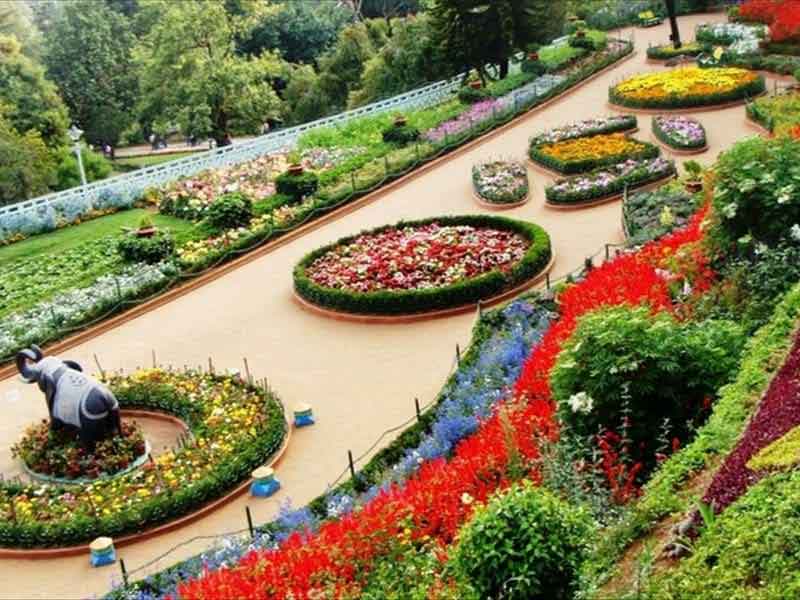 Travel guide to Government Botanical Garden Munnar Kerala