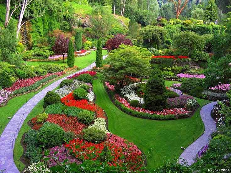 Colorful flowers at Botanical Garden Munnar Kerala