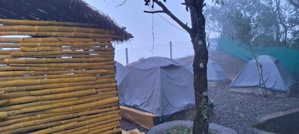 Budget Camping in Munnar