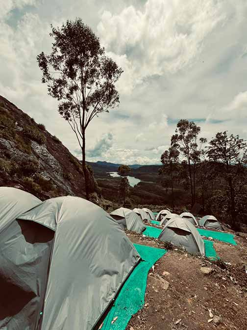 Camping in Munnar