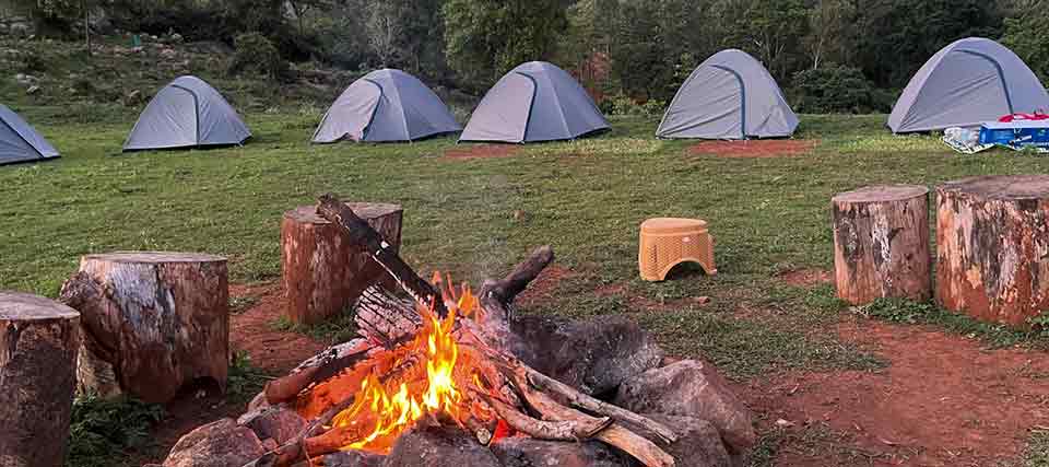 Group Camping in Munnar