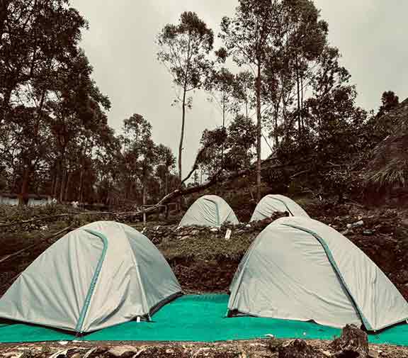 Camping in Munnar Booking