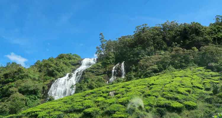 Village view near Chinnakanal Waterfalls Munnar