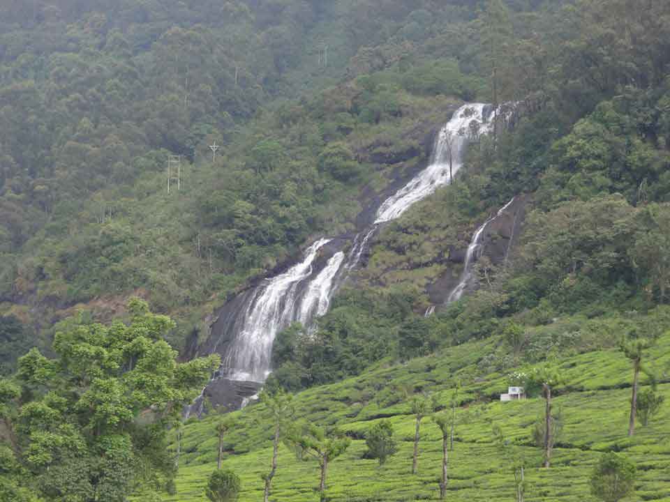 Lush greenery near Chinnakanal Waterfalls Kerala