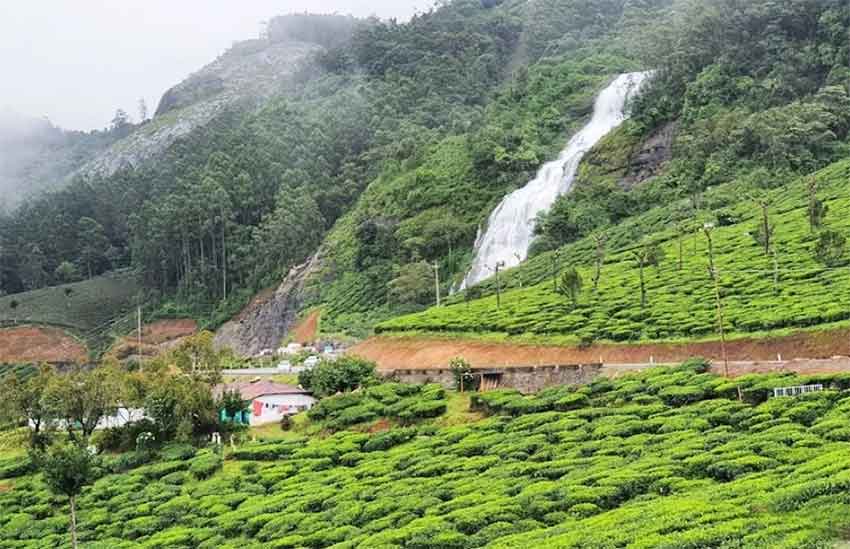Scenic landscape around Chinnakanal Waterfalls Munnar