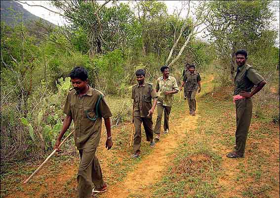 Trekking route at Chinnar Wildlife Sanctuary Munnar