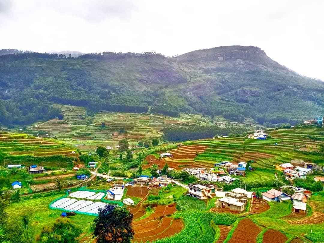 Village Life Tour in Munnar – Explore Rural Culture and Traditions