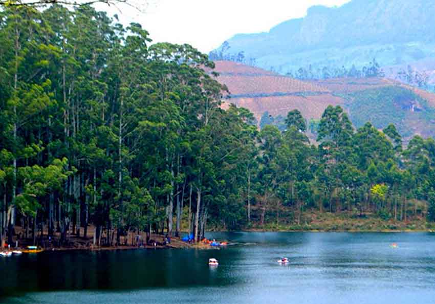 Kundala Lake Munnar – Shikara boating and romantic cherry blossom surroundings