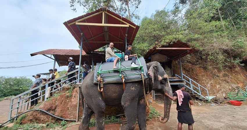 Elephant camp activities near Munnar