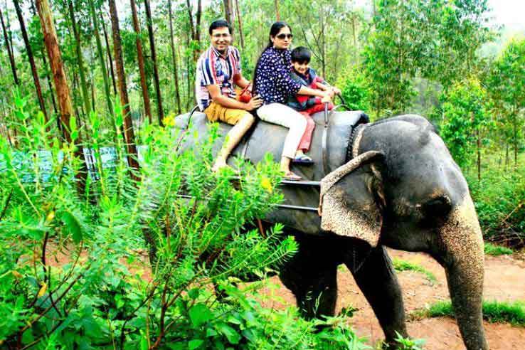 Elephant safari through forest trails in Munnar
