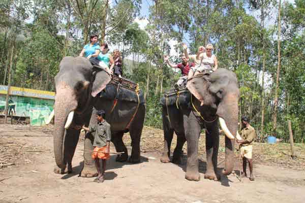 Elephant walking trail safari Munnar