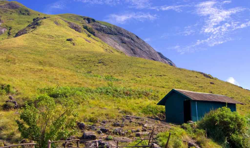 Rolling grasslands of Eravikulam National Park Kerala