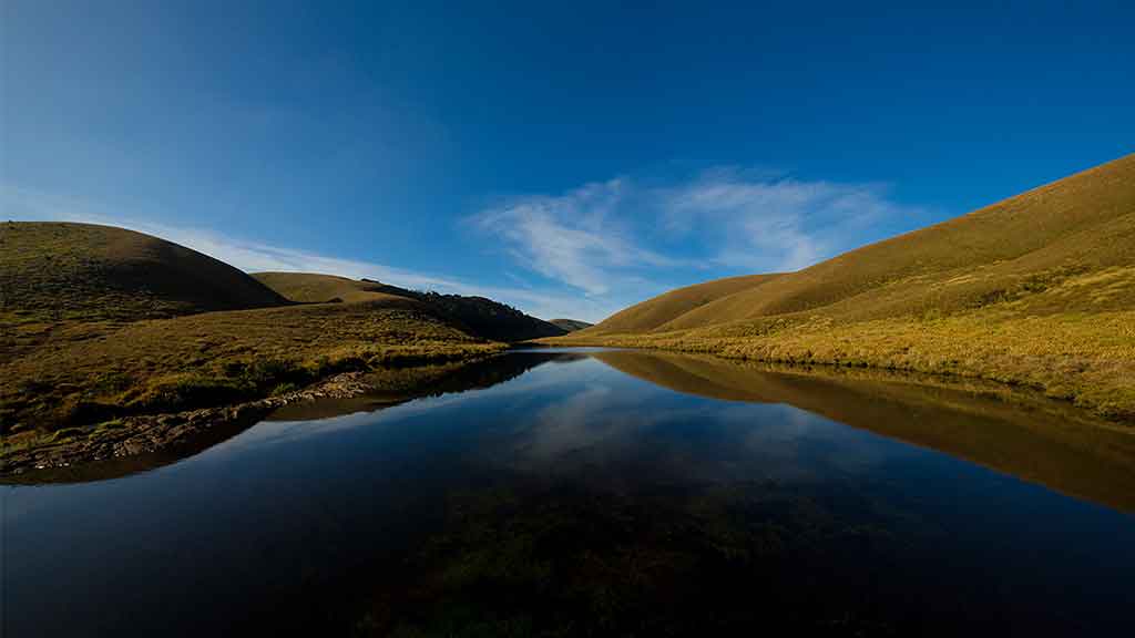 Eravikulam National Park Munnar Kerala – Famous wildlife sanctuary