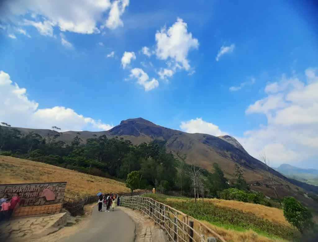 Tourists visiting Eravikulam National Park Munnar Kerala