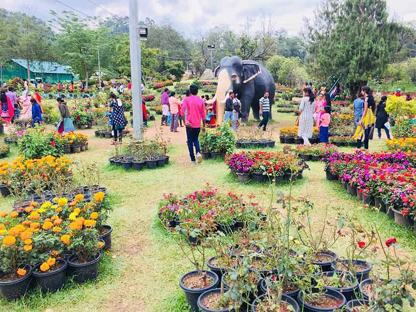 Hydel Park Munnar Kerala family friendly tourist park