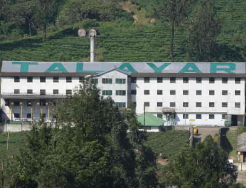 Talayar Tea Factory Munnar Kerala scenic tea estate and factory visit