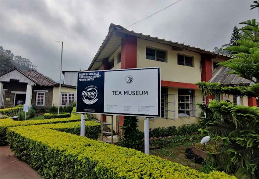 Tata Tea Museum Munnar Kerala history of tea production and culture