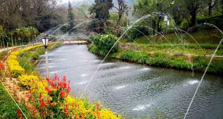 Colorful flower garden at Hydel Park Munnar