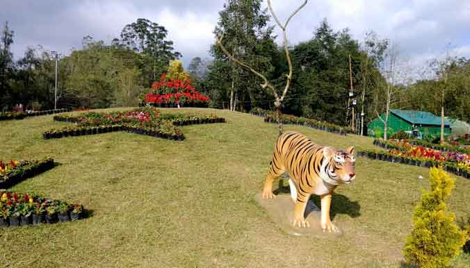 Walking trails inside Hydel Park Munnar Kerala