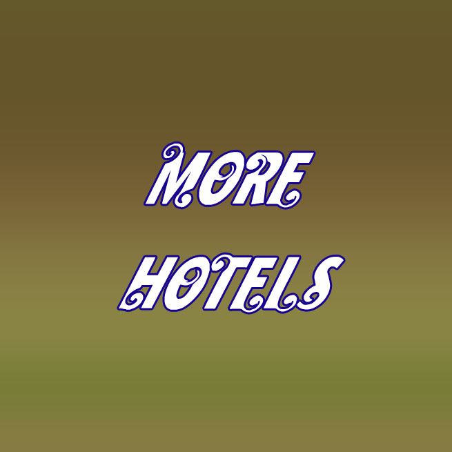 Hotels in Munnar