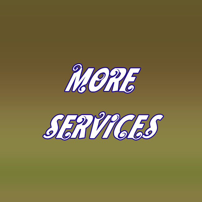 Hotels in Munnar