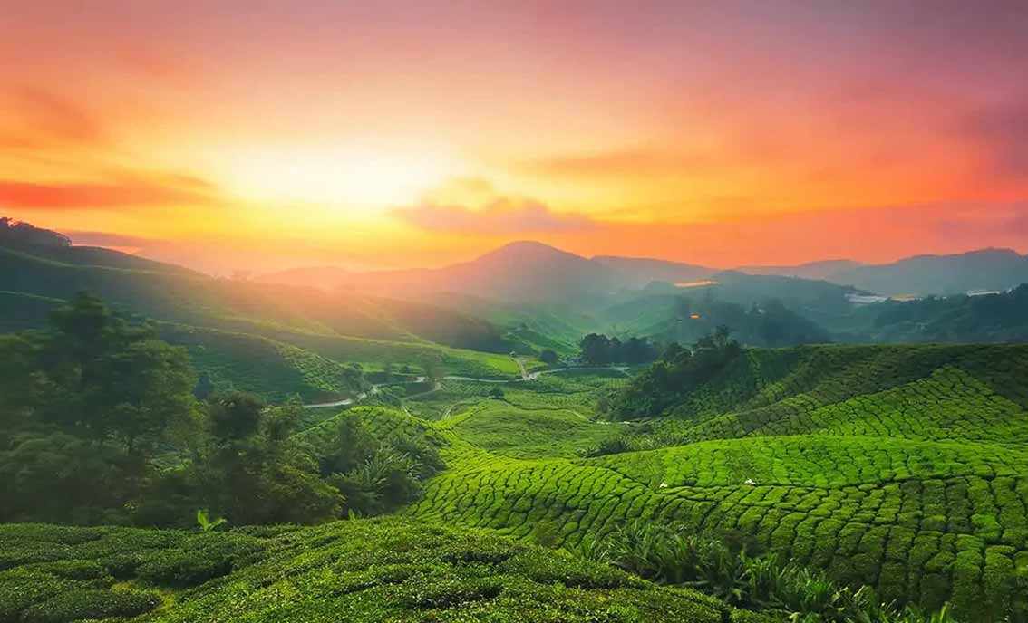 Top sightseeing places in Munnar including Echo Point and Mattupetty Dam