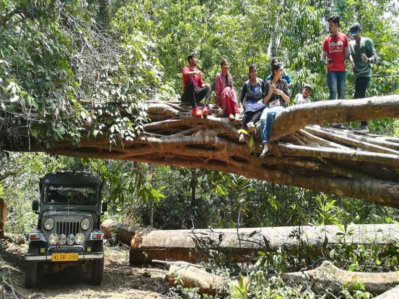 Jeep Safari Bison Valley