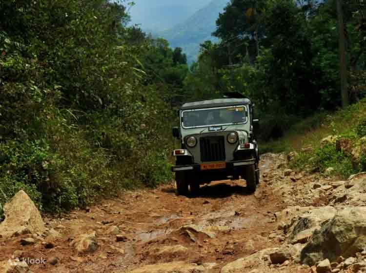 Jeep Safari Gap Road Munnar
