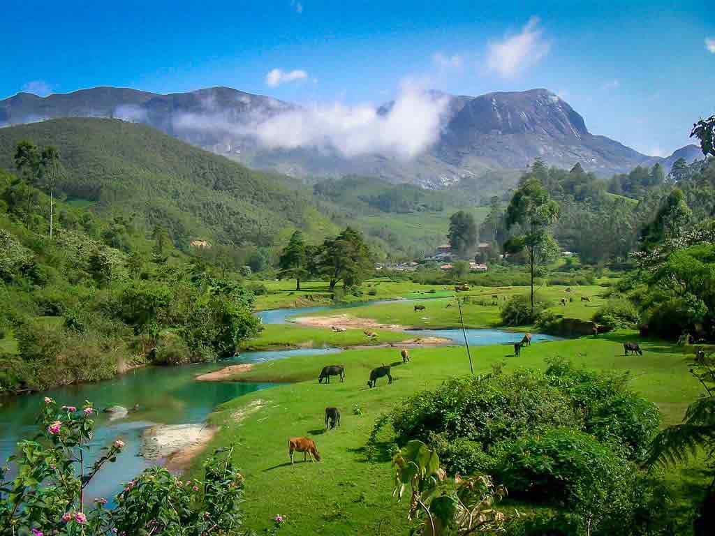 Jeep Safari Munnar