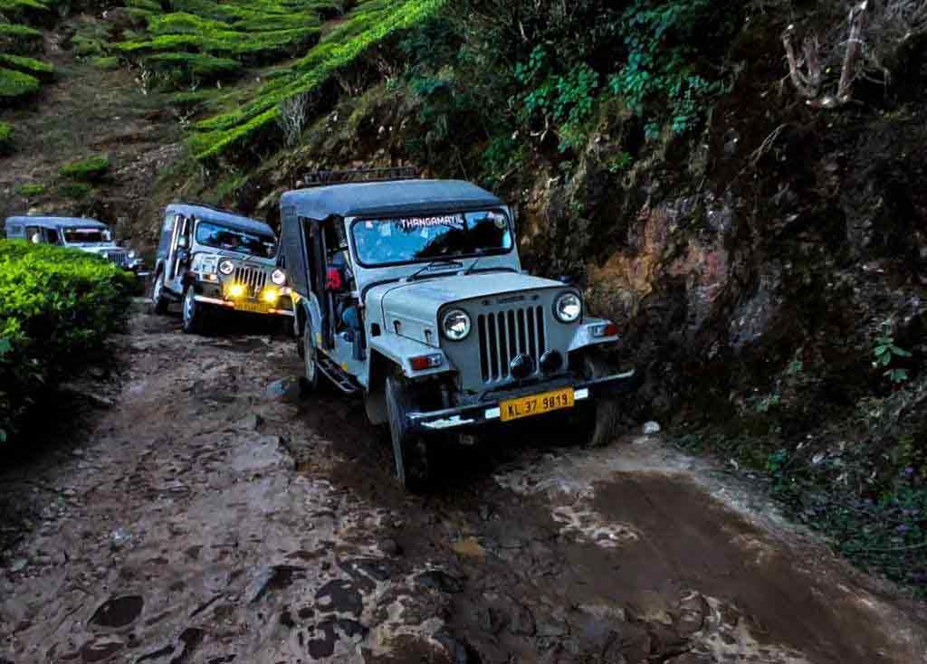 Jeep Safari Pallivasal
