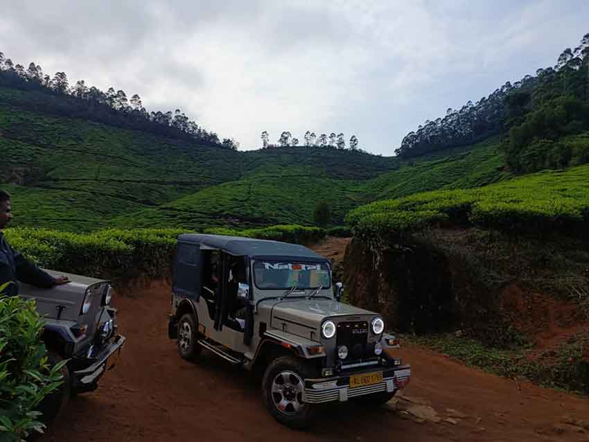 Jeep Safari through Tea Gardens