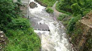 Forest surroundings of Kallar Waterfalls Munnar Kerala