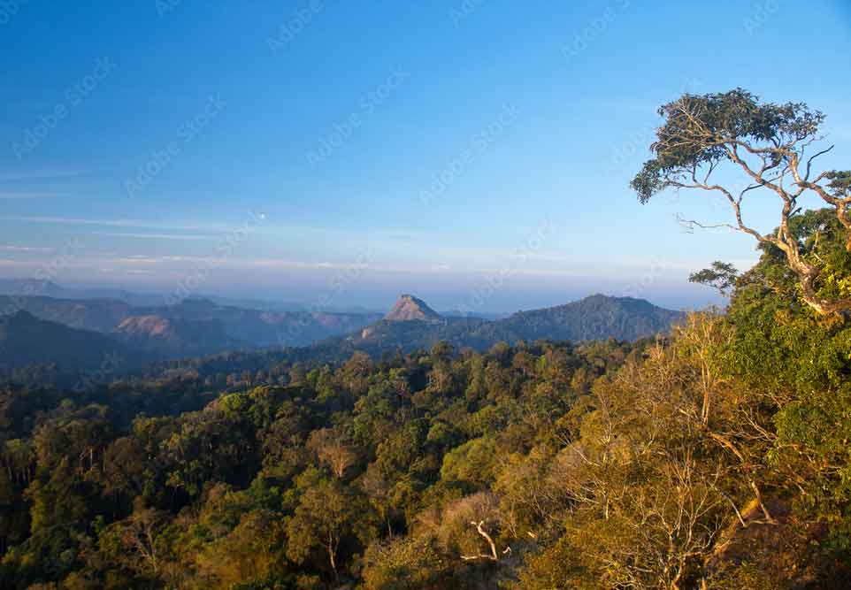 Panoramic view of Karadippara viewpoint in Munnar