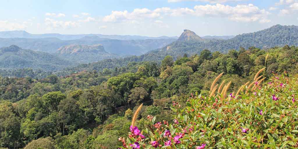 Family trip to Karadippara View Point Munnar Kerala