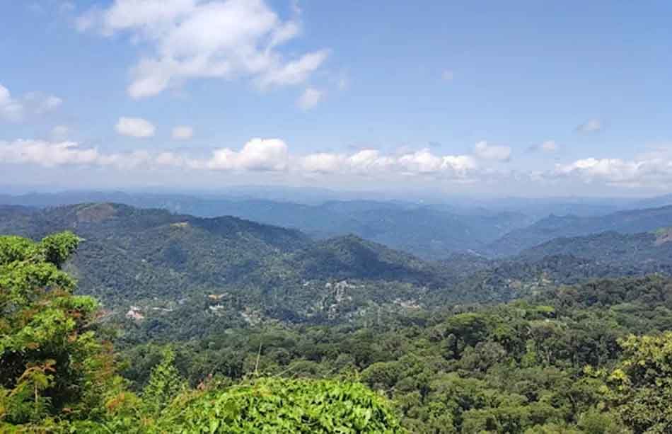 Lush greenery view from Karadippara View Point Munnar Kerala