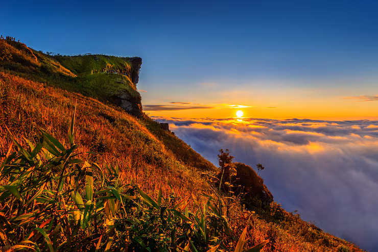 Kolukkumalai sunrise tour package with jeep ride