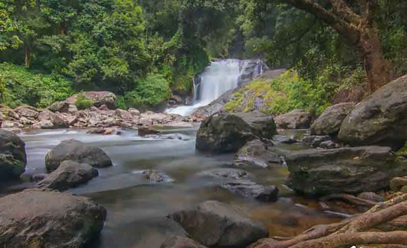 Trekking trail to Lakkom Waterfalls Munnar Kerala