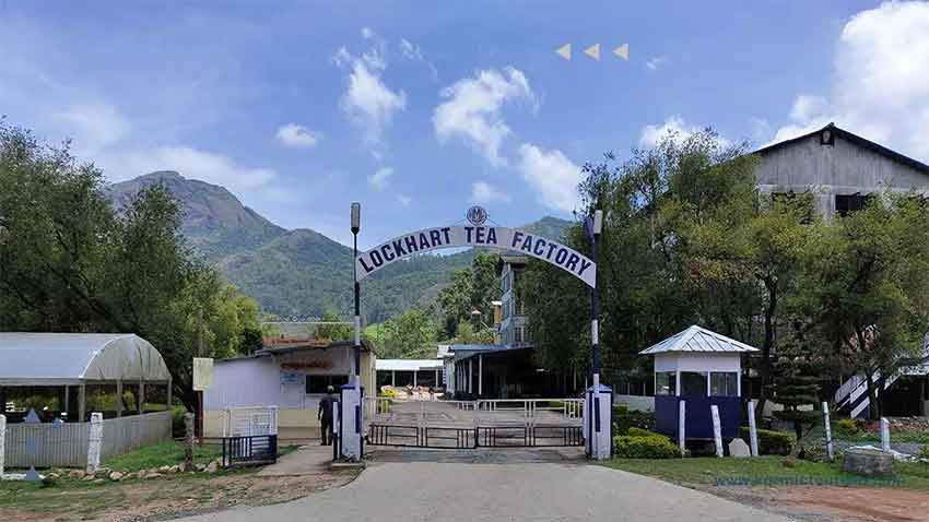 Tourist Spot Lockhart Tea Factory Munnar