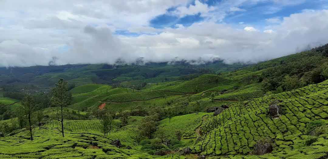Lockhart Tea Museum showcasing tea history in Munnar