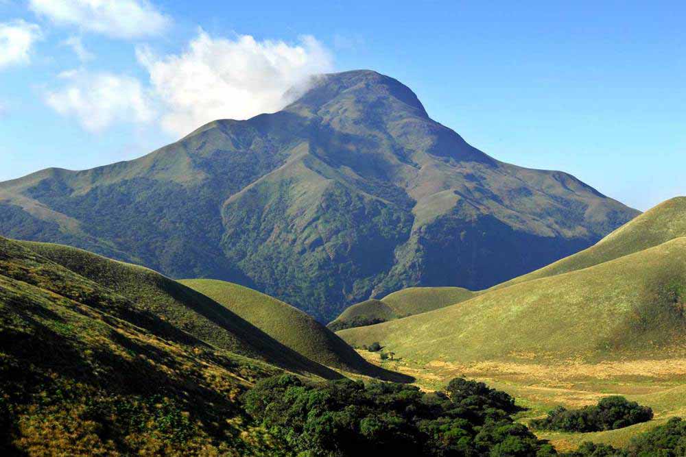 Trekking to Anamudi peak, the highest mountain in South India