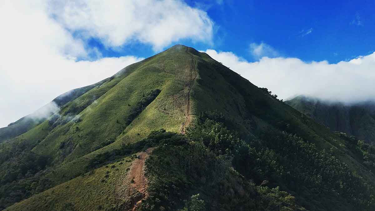 Scenic Meesapulimala trek trail in Munnar with panoramic mountain views