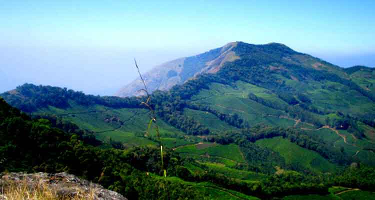 Misty hills and greenery at Pothamedu View Point Munnar