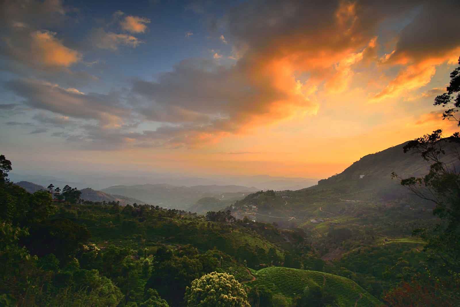 Pothamedu View Point Munnar Kerala – Famous viewpoint with tea gardens